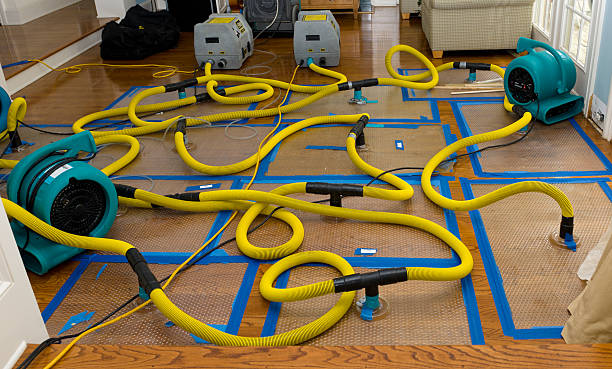 Professional Sewage Cleanup technician working in Tipton, MI